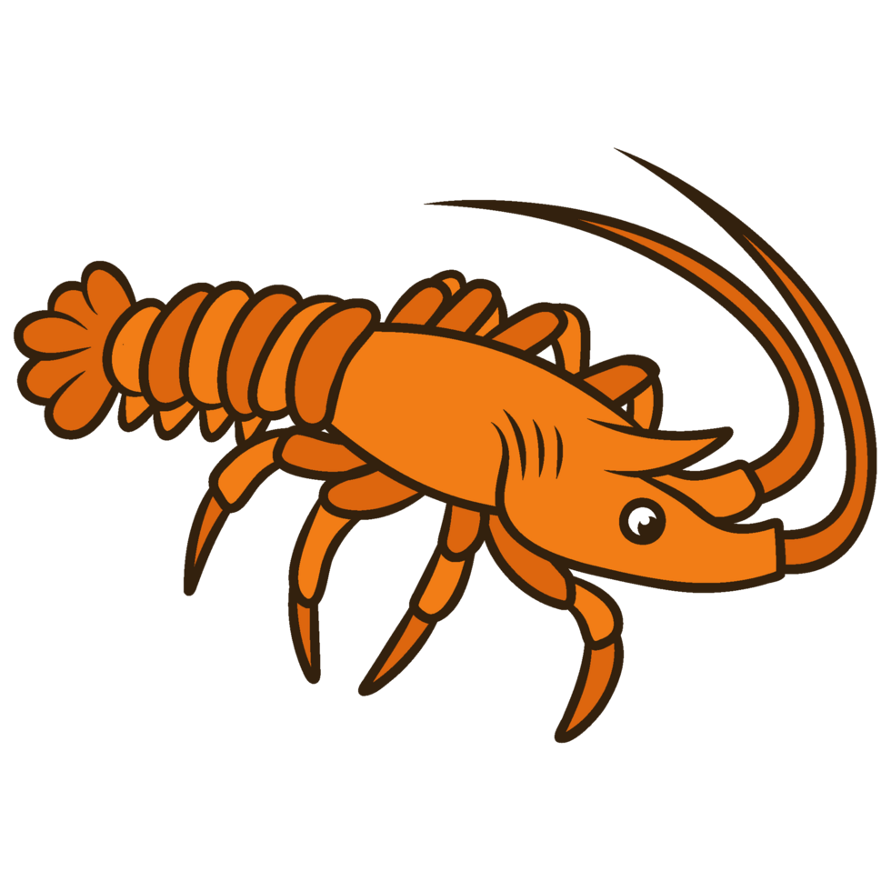Illustration of a Lobster png