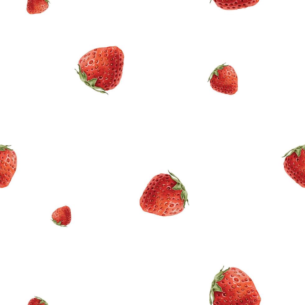 Fresh strawberries on white background vector