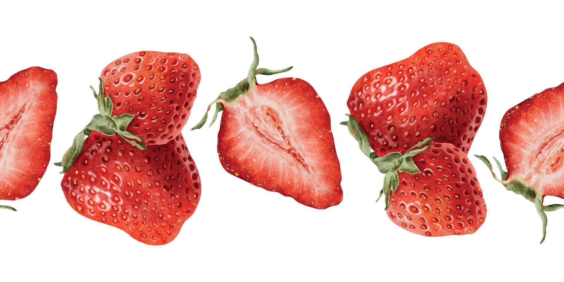 Fresh strawberries on a white background vector