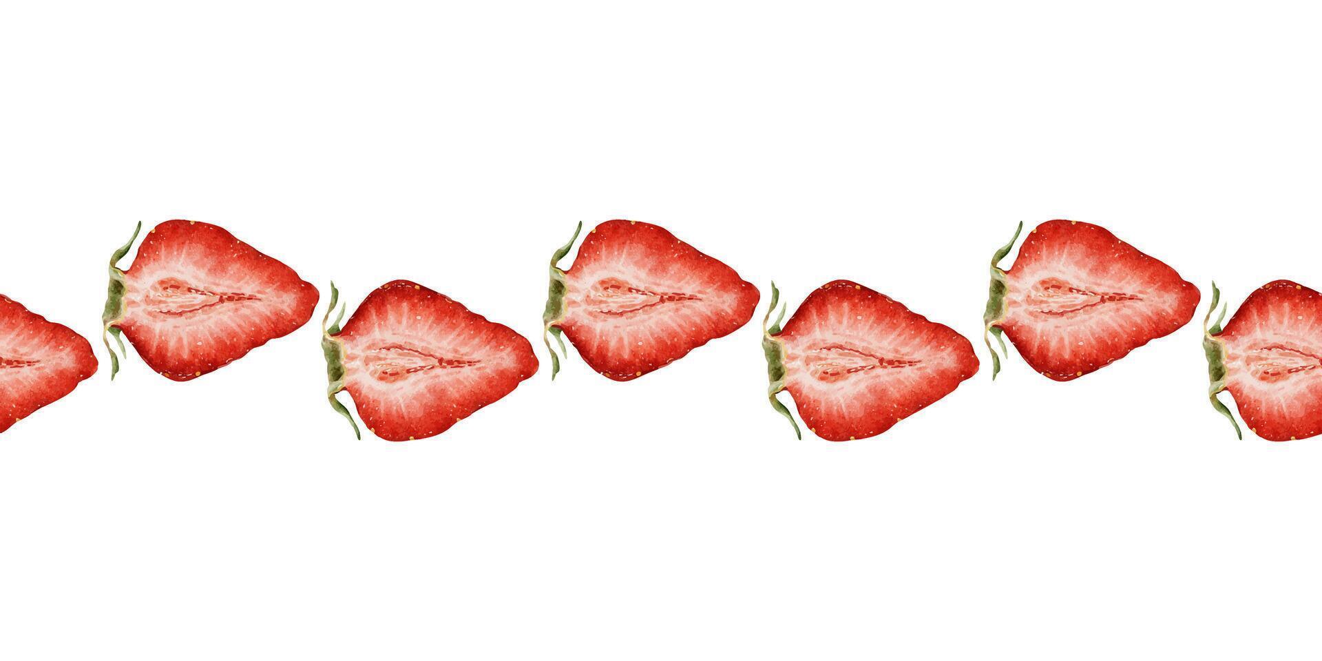 Sliced strawberries on a white background vector