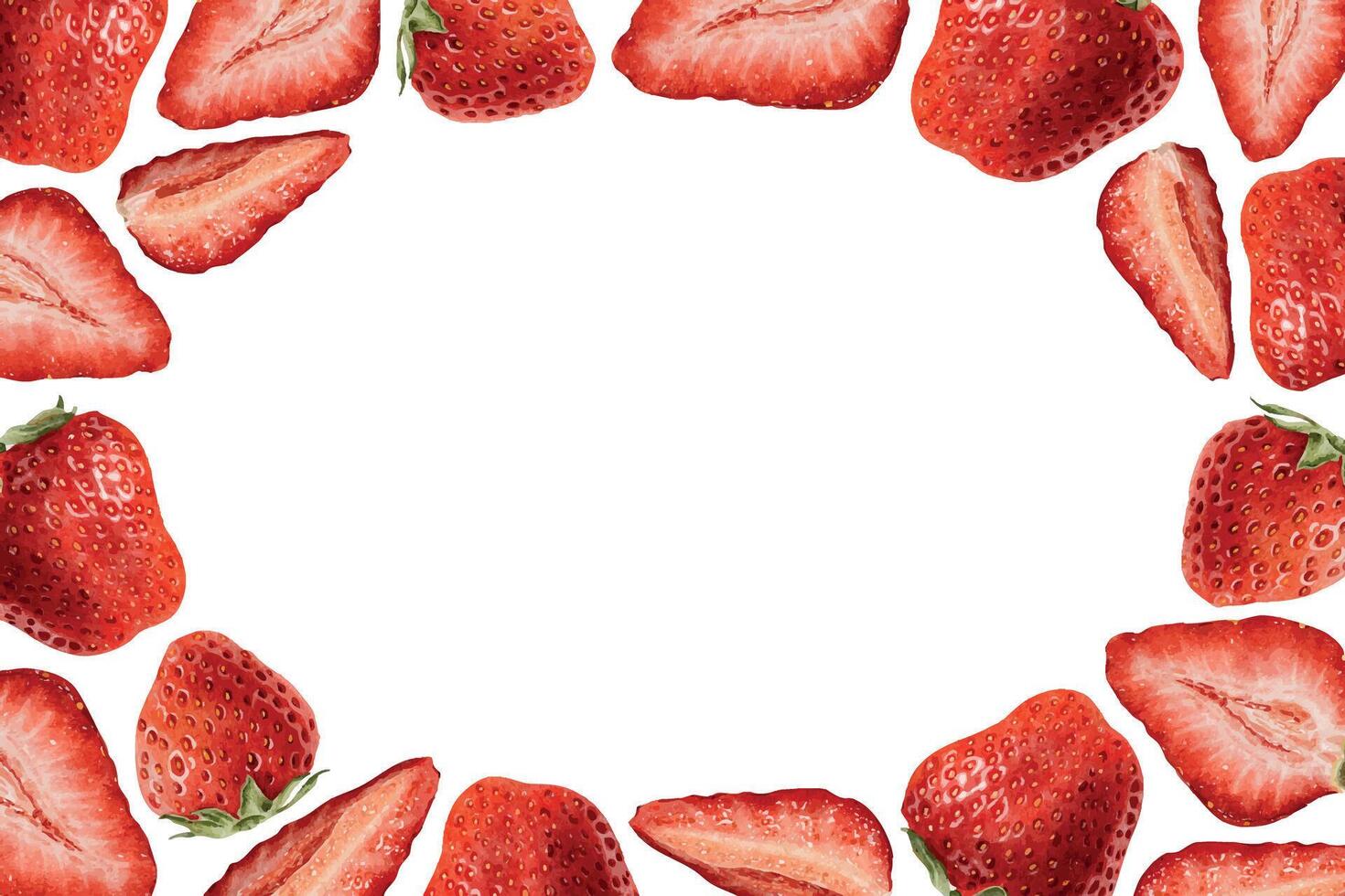 Fresh strawberries on a white background vector