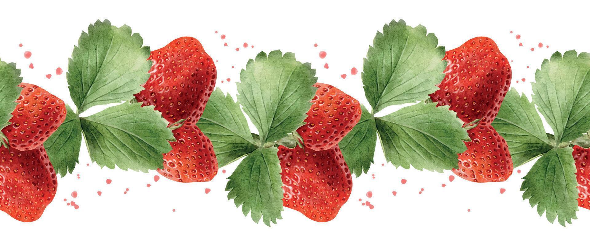 Strawberries with green leaves illustration vector