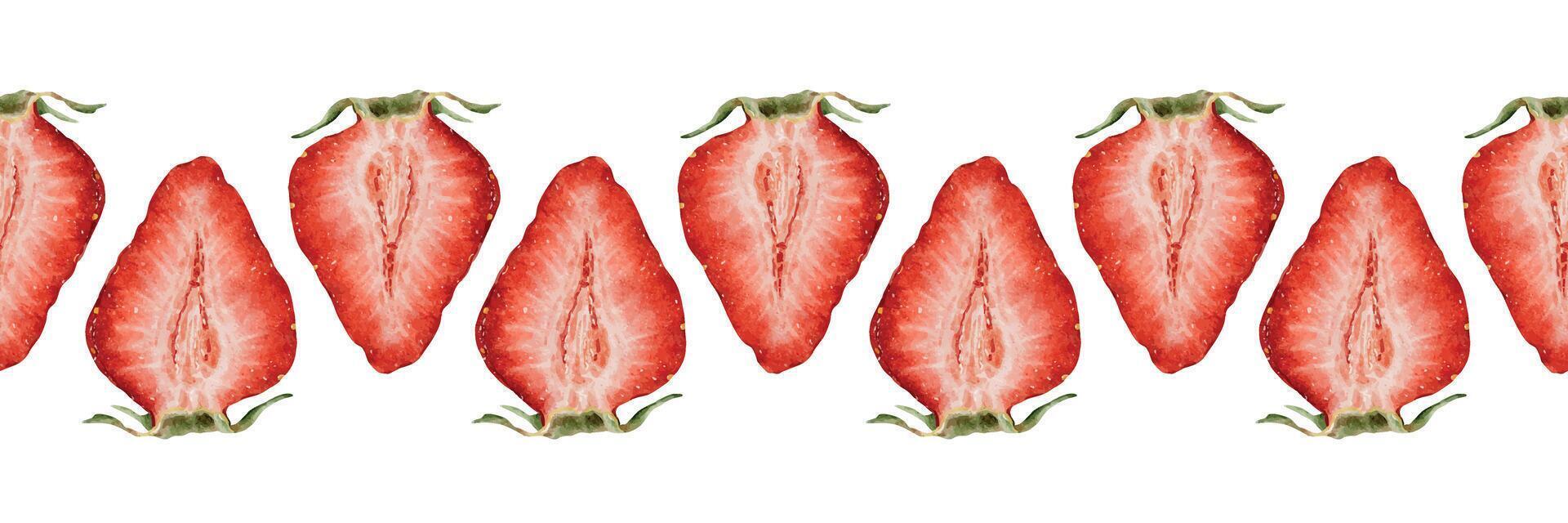 Sliced fresh strawberries on a white background vector
