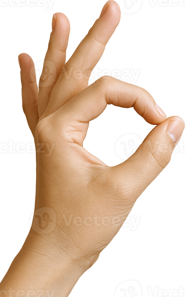 A person making an ok sign with their hand png