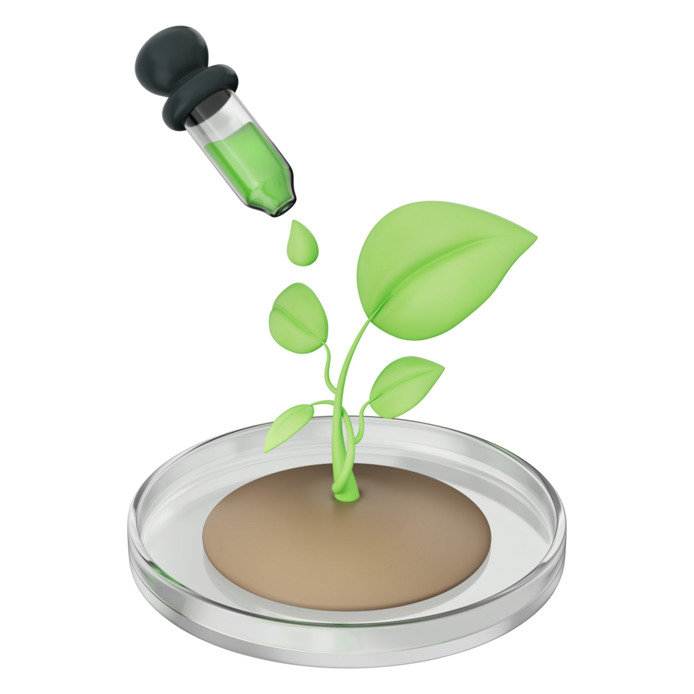 Green seedling with glass dropper tube represents plant biology, science lab experiment, biotechnology. eco-friendly innovation, chemistry,organic research. Transparent background, 3d illustration. png