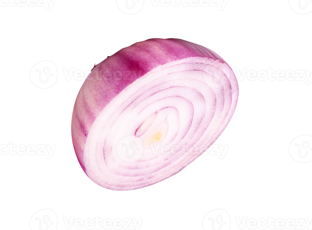Spanish onion bulb in half or slice in circle shape isolated with clipping path in file format png