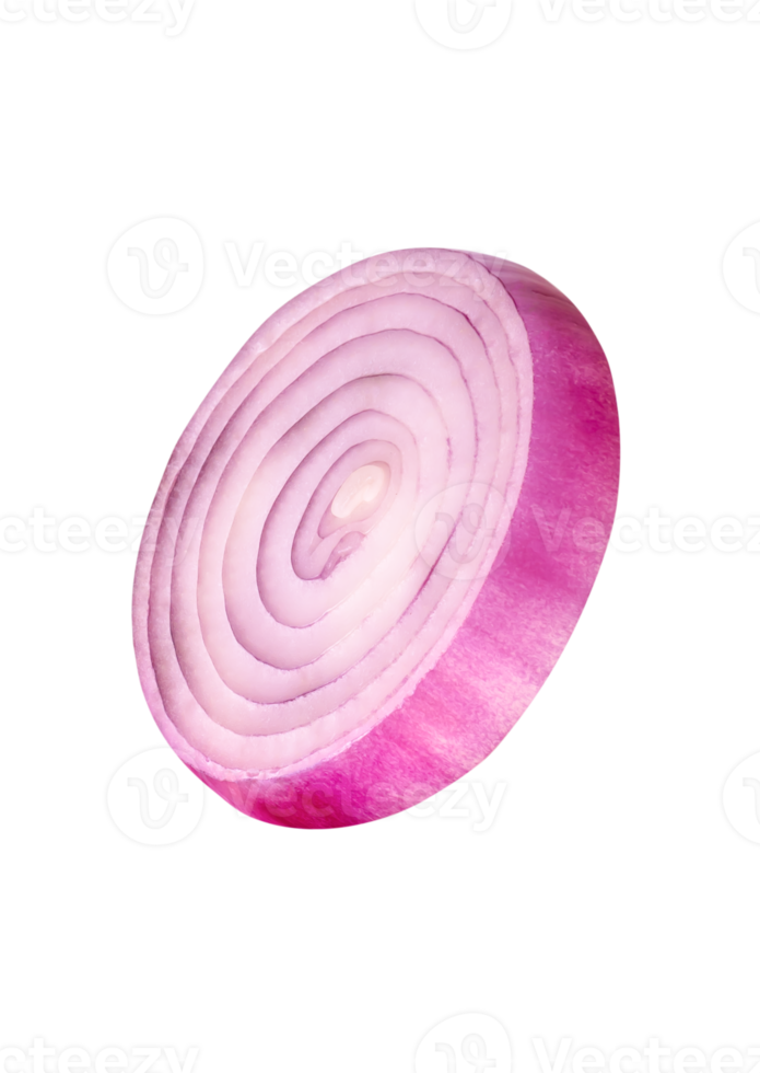Large red or purple onion bulb in slice in circle shape isolated with clipping path in file format png