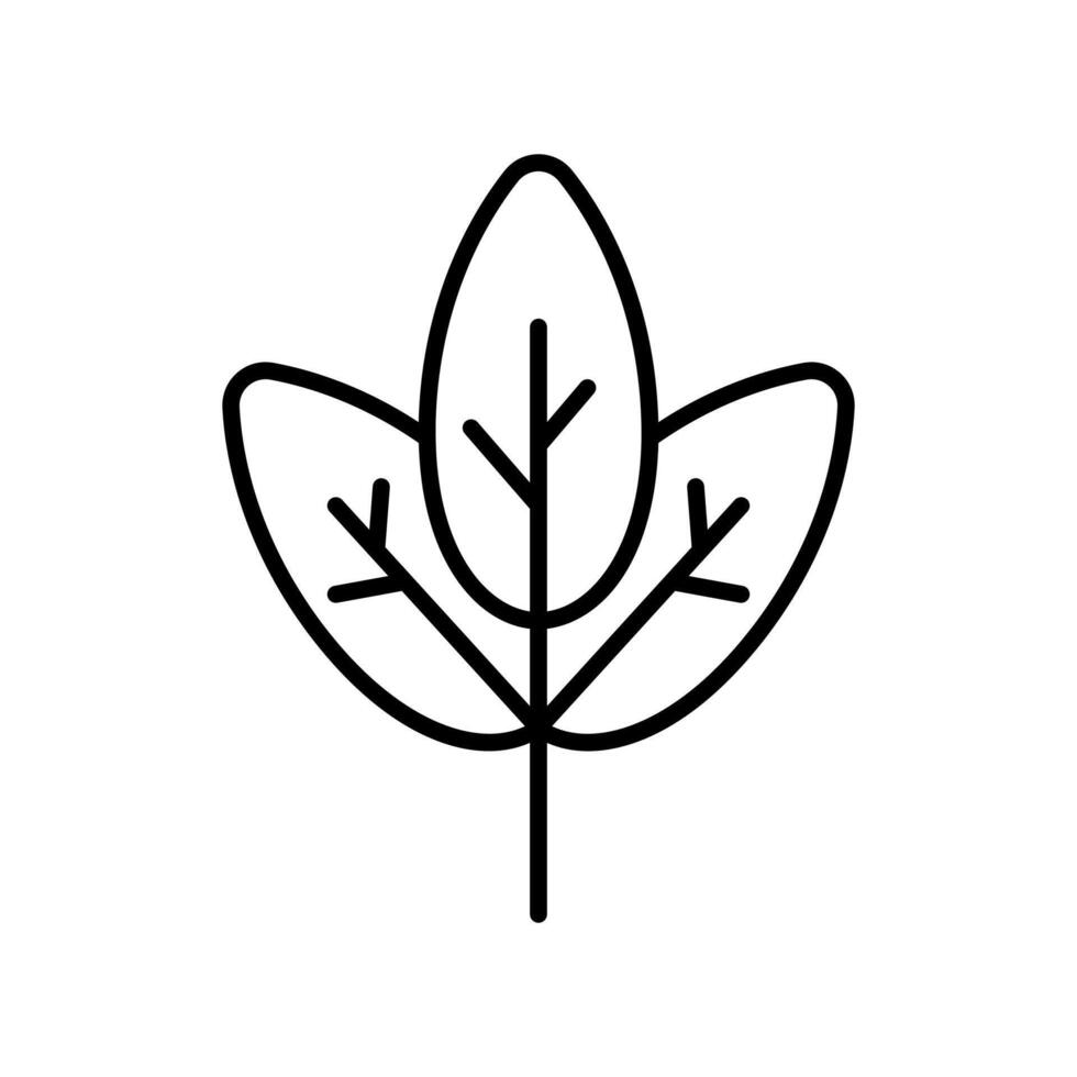 Herb leave Lineart Icon for eco-friendly projects and web design elements vector