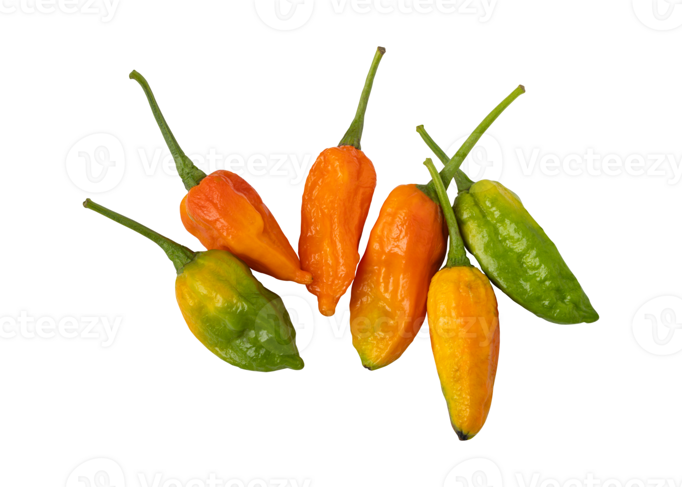 Dorset naga peppers isolated on transparent background png
