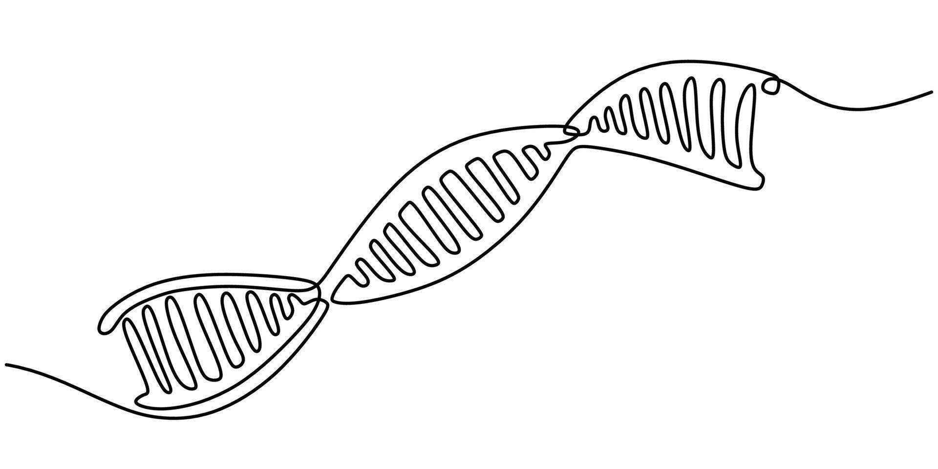 Biology dna helix one line drawing vector
