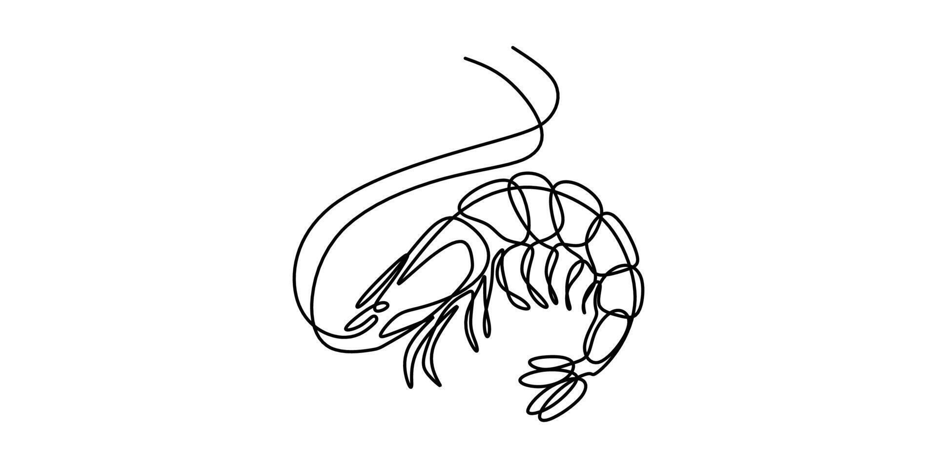 Seafood shrimp continuous line art vector