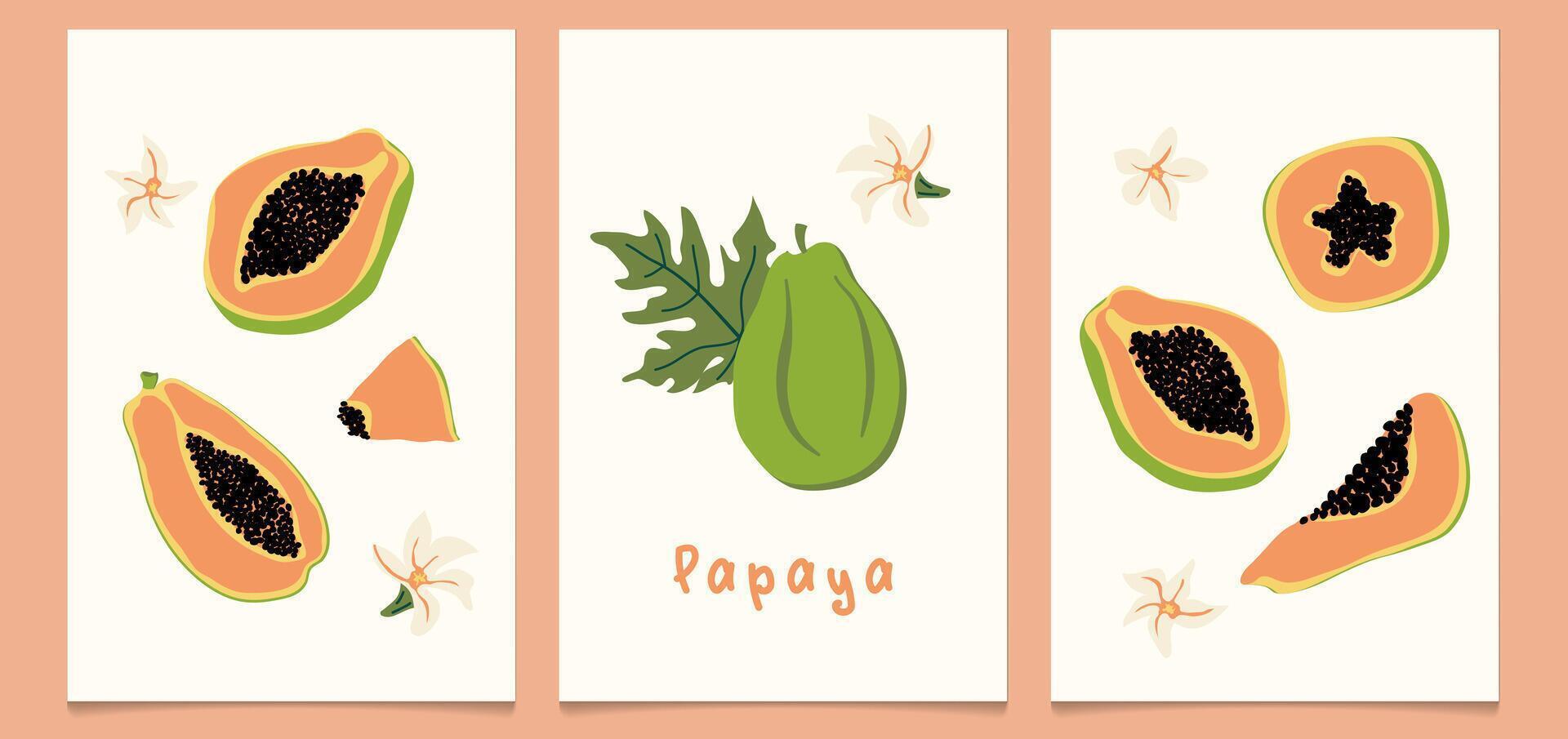 A hand-drawn set of vintage posters featuring a ripe papaya. Contemporary botanical print with hand drawn pawpaws, leaves and flowers. vector