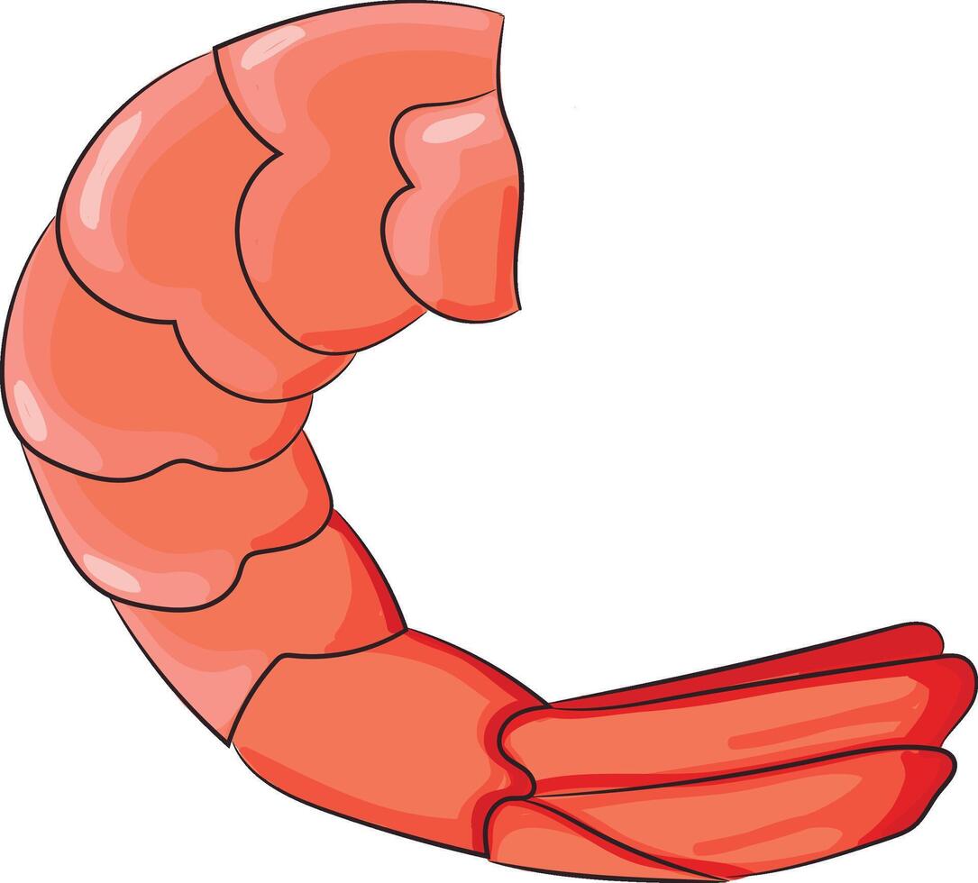 Peeled shrimp hand drawing isolated vector