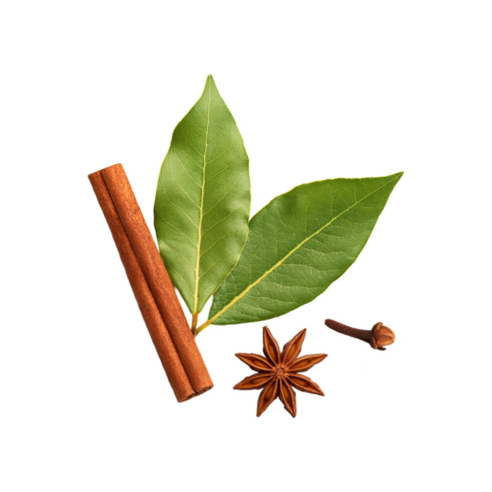 Dried bay leaf with clove spice and cinnamon on transparent background png