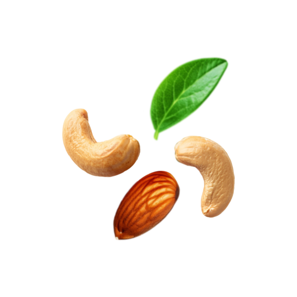 Top view of cashew nut with peeled almond on transparent background png