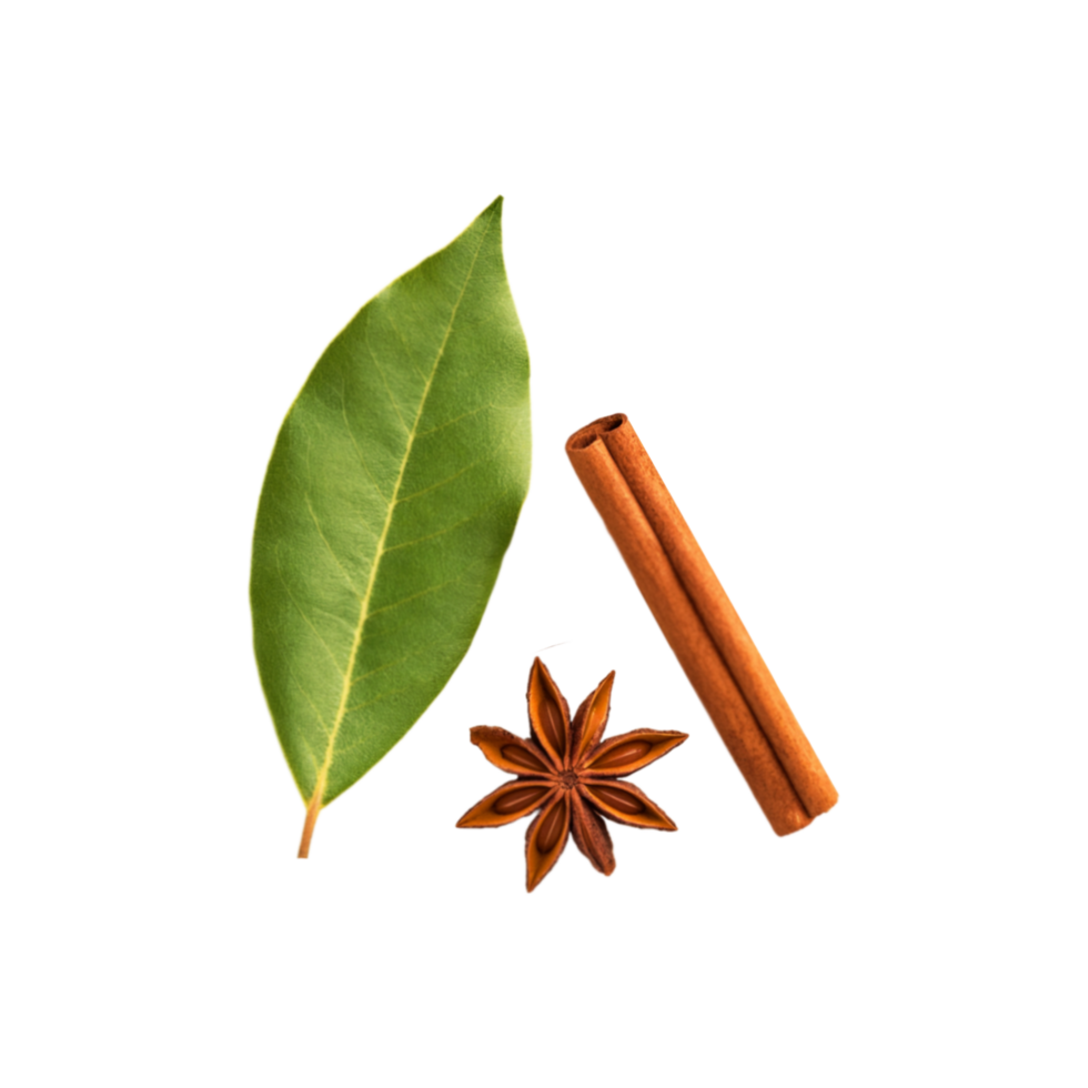 Dried bay leaf with fresh cinnamon on transparent background png