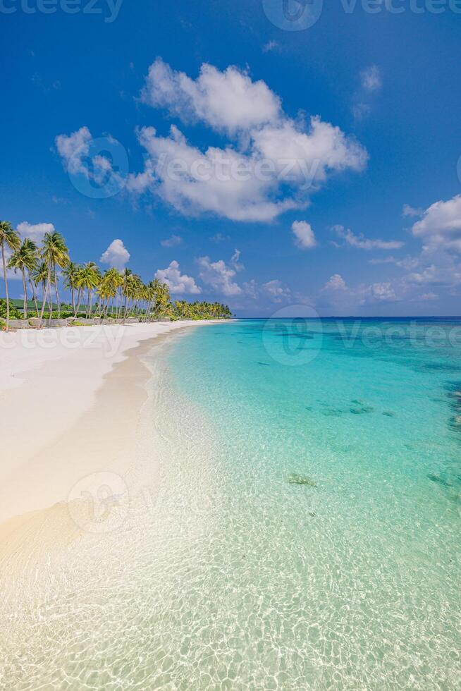 Vertical panorama of Maldives beach with palm trees, closeup view of soft sand and clear sea under sunny blue sky, beautiful tropical island nature scene perfect for summer beach travel visuals photo
