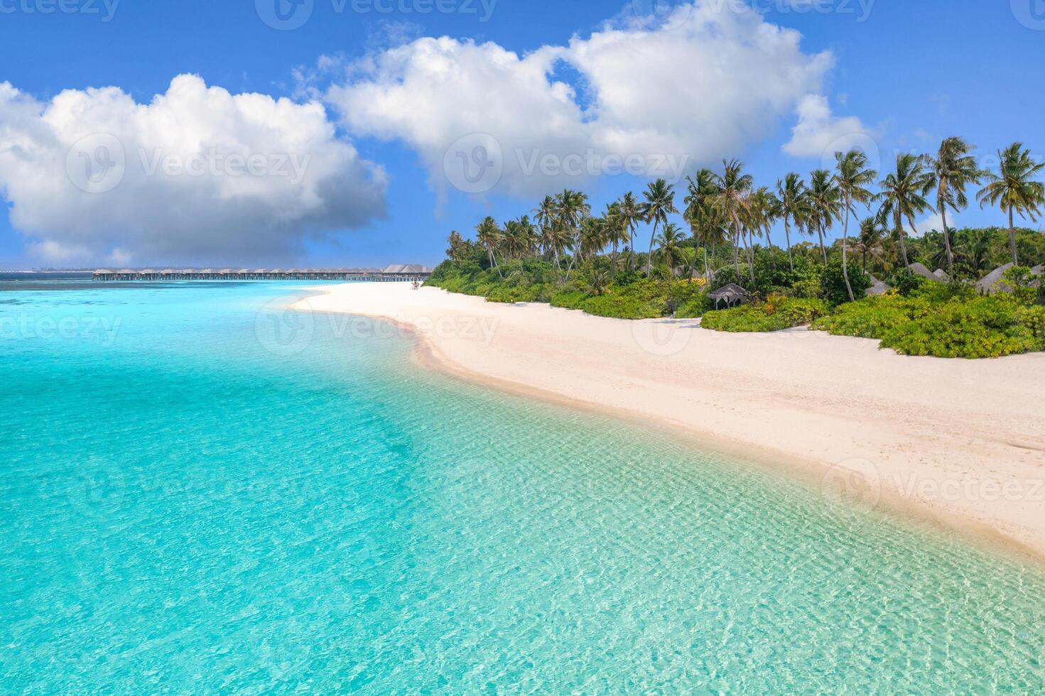 Aerial view of Maldives beach with palm trees, soft sand, and clear sea creating an idyllic summer landscape pattern filled with peaceful nature and beautiful tropical island scenery photo