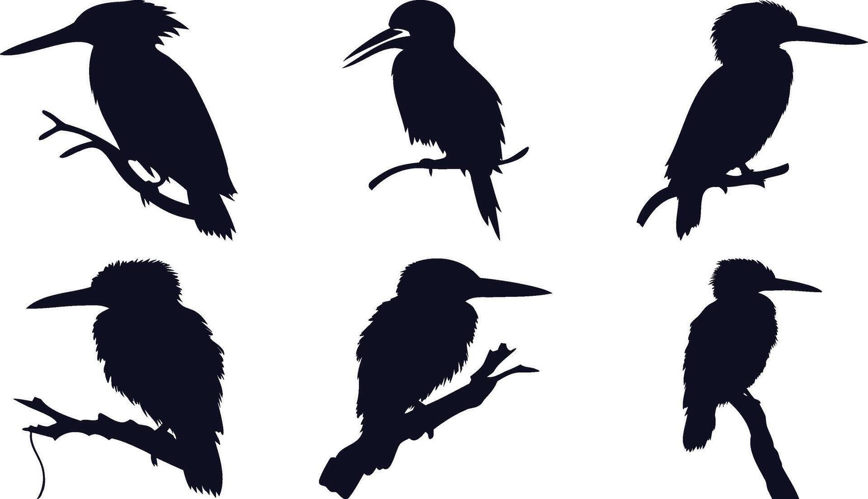 Kingfisher Silhouettes Set vector