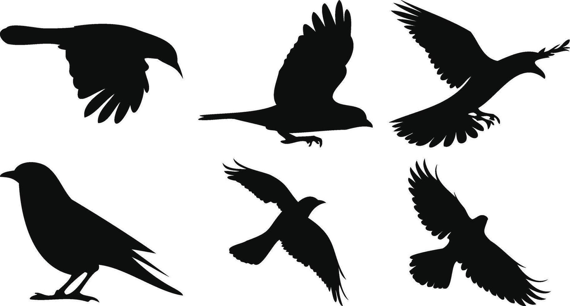Dynamic Flying Birds Set vector
