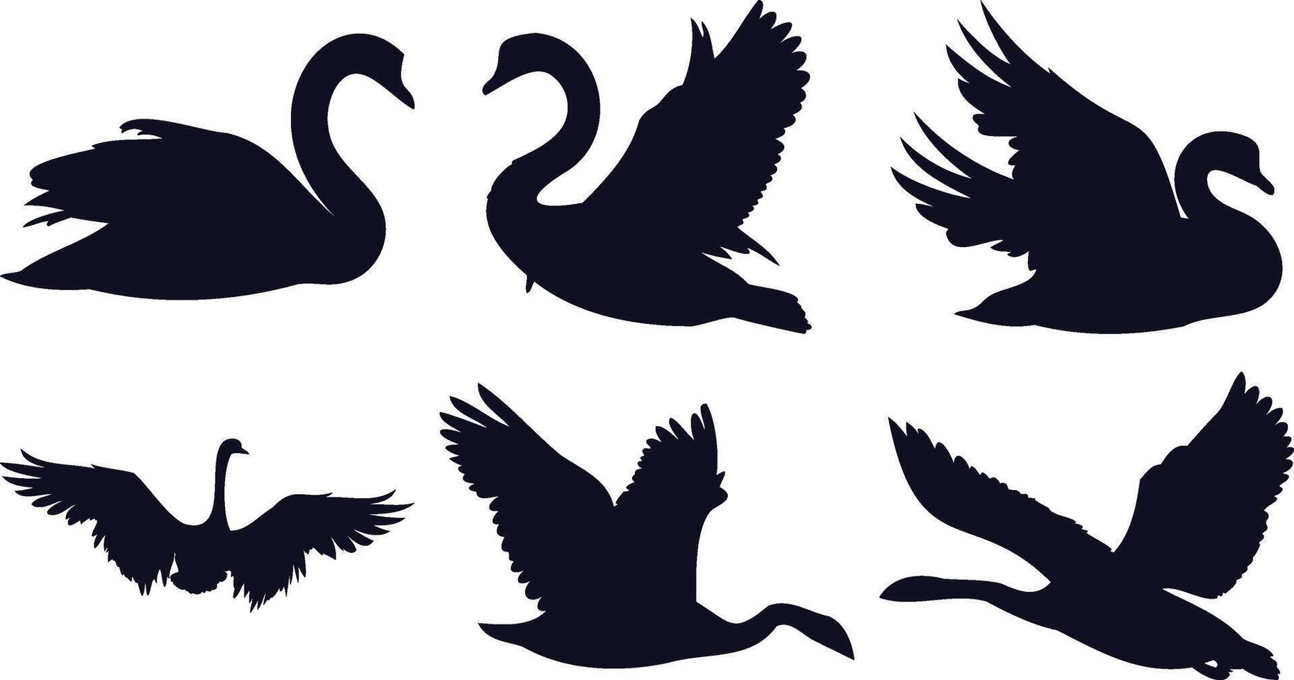 Graceful Swan Silhouettes vector