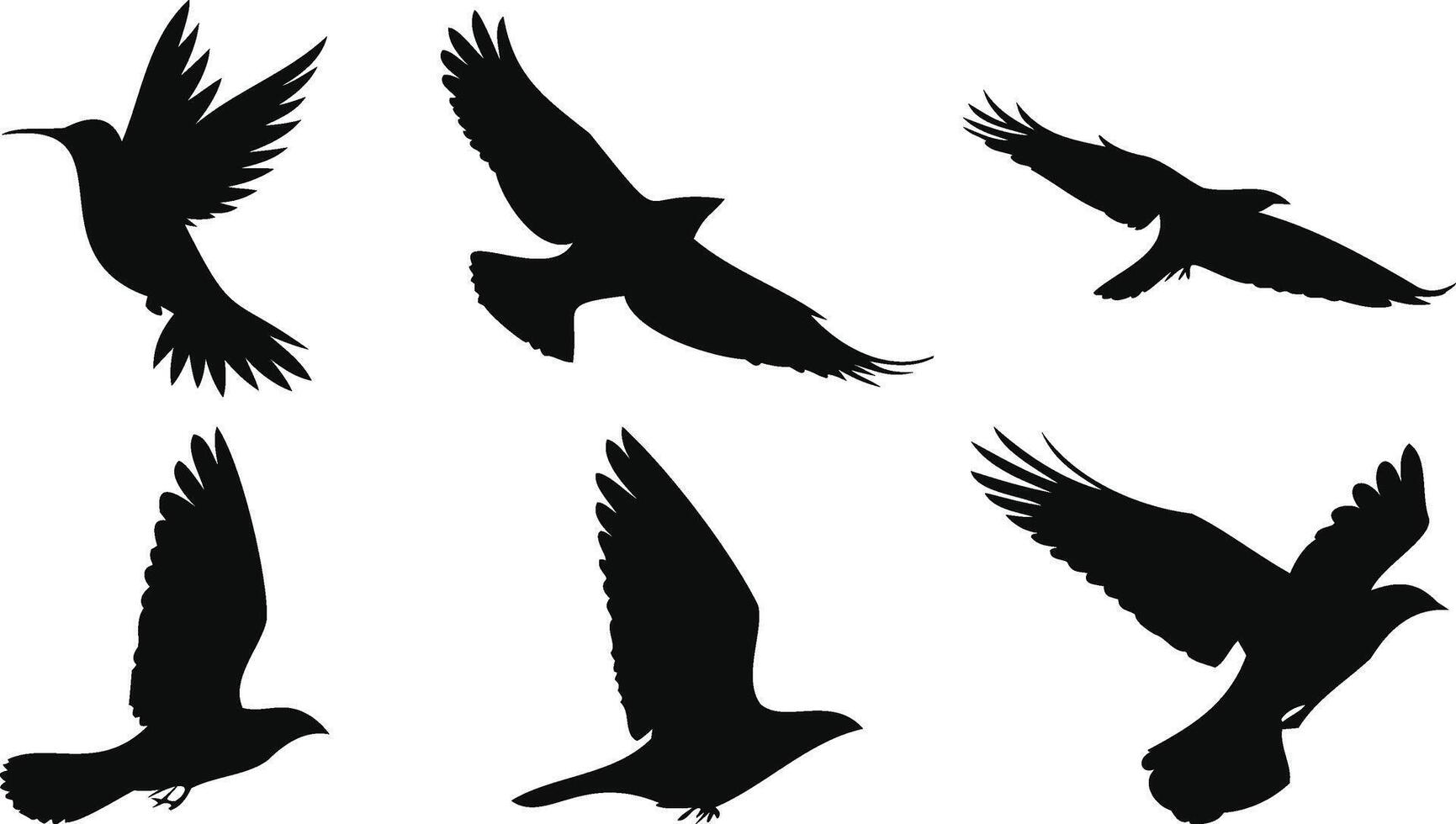 Lightweight Birds Gliding in the Air vector