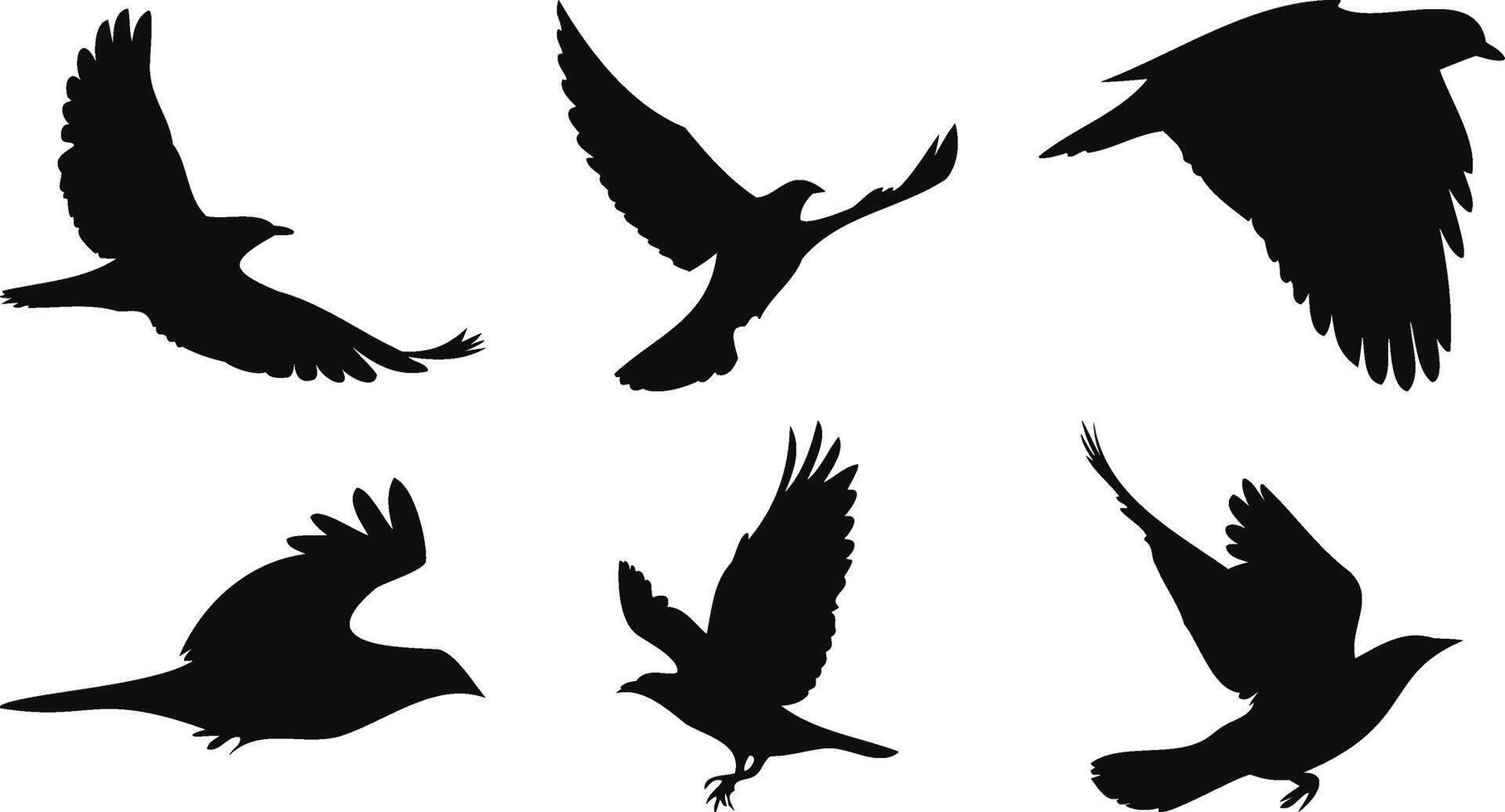 Large-Winged Birds in Soaring Motion vector