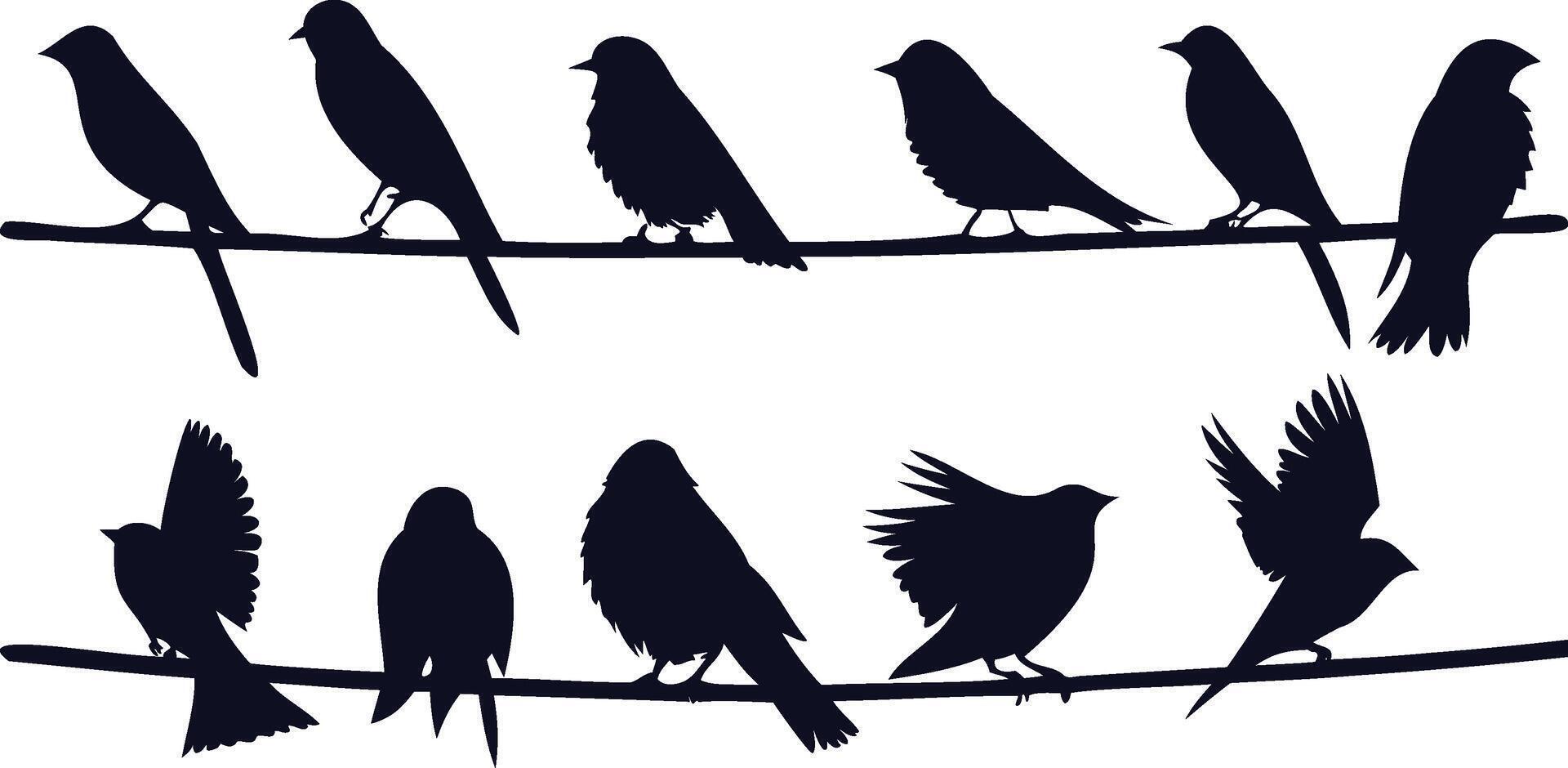 Perched Birds on Wire Silhouette vector