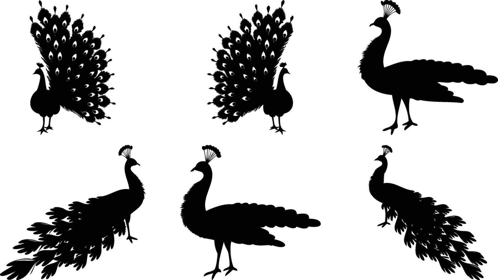 Peacock Silhouettes in Majestic Poses vector