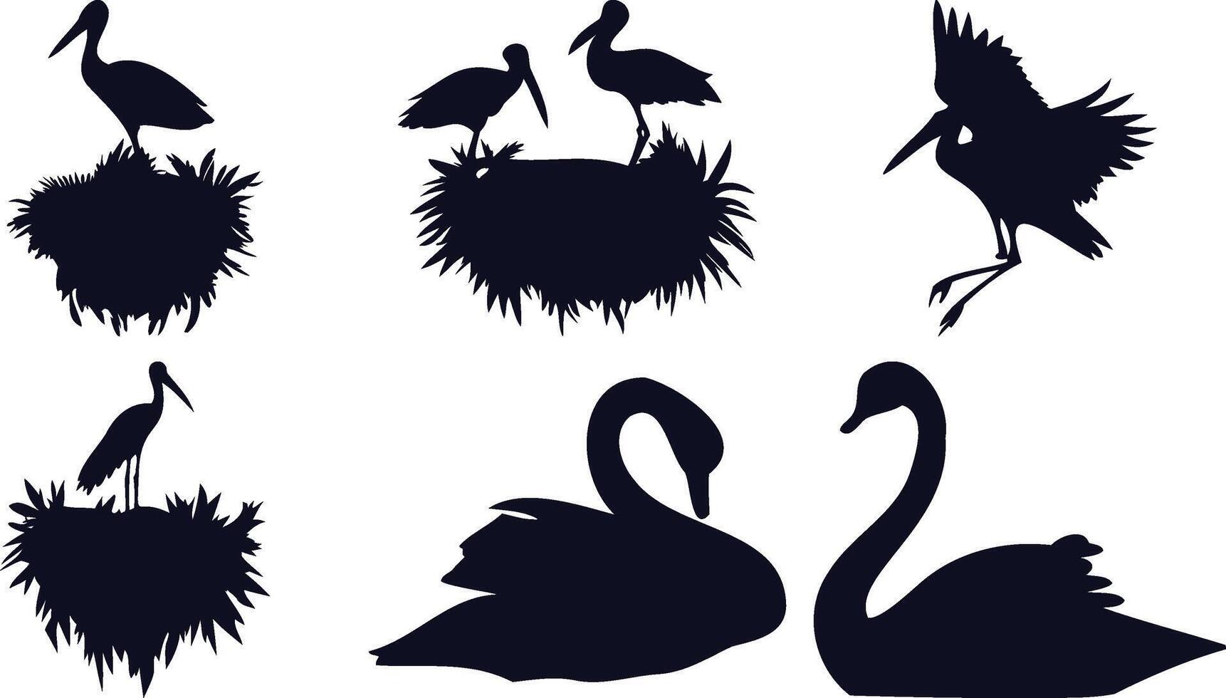 Swans and Nesting Birds vector