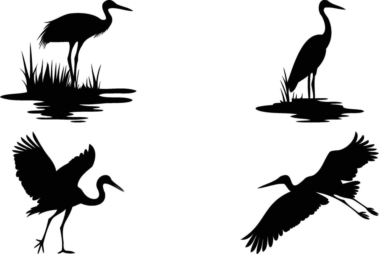 Elegant Crane and Stork Bird Silhouettes vector