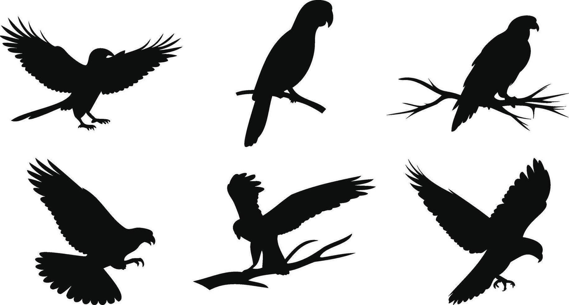 Soaring Birds Scene vector