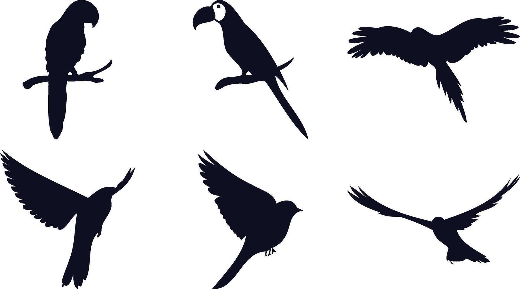 Birds in Flight with Extended Wings vector