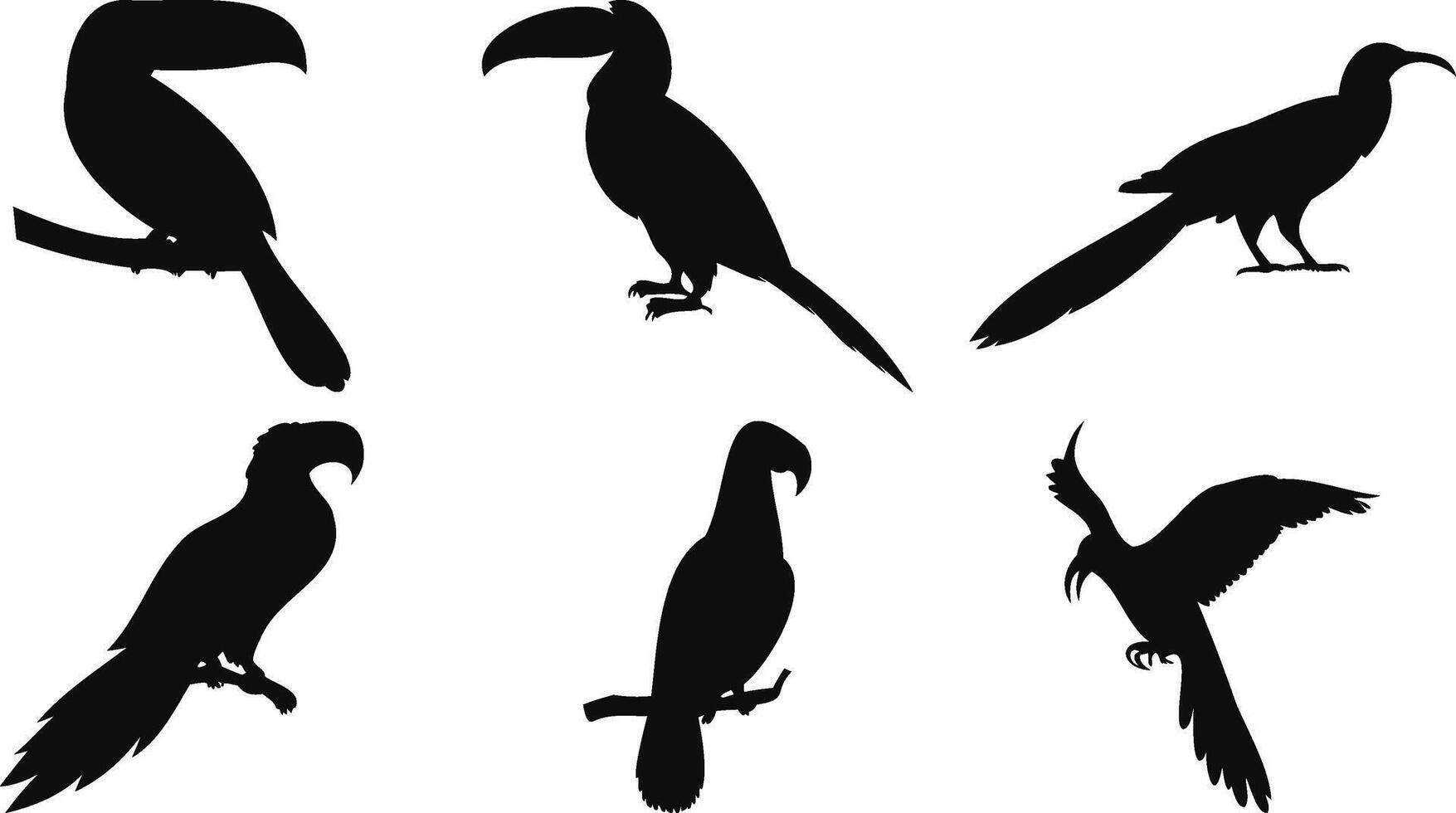 Exotic Bird Set in Silhouettes vector