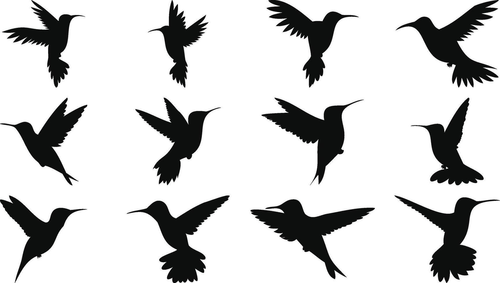 Hummingbird Silhouettes Collection vector