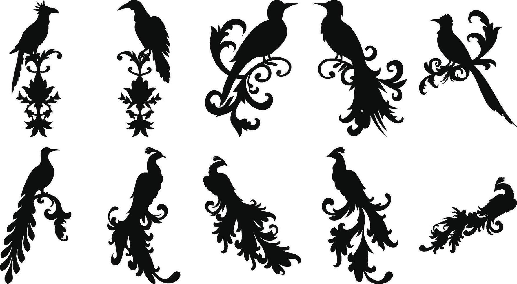 Elegant Curled Bird Ornaments vector