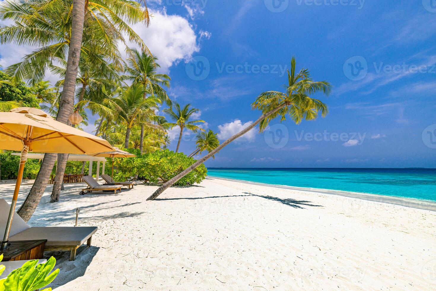 Bright sunny beach with comfortable chairs and umbrellas under tall palms, a loving honeymoon couple enjoying the warm summer sea breeze and peaceful sandy shore perfect romantic getaway destination. photo