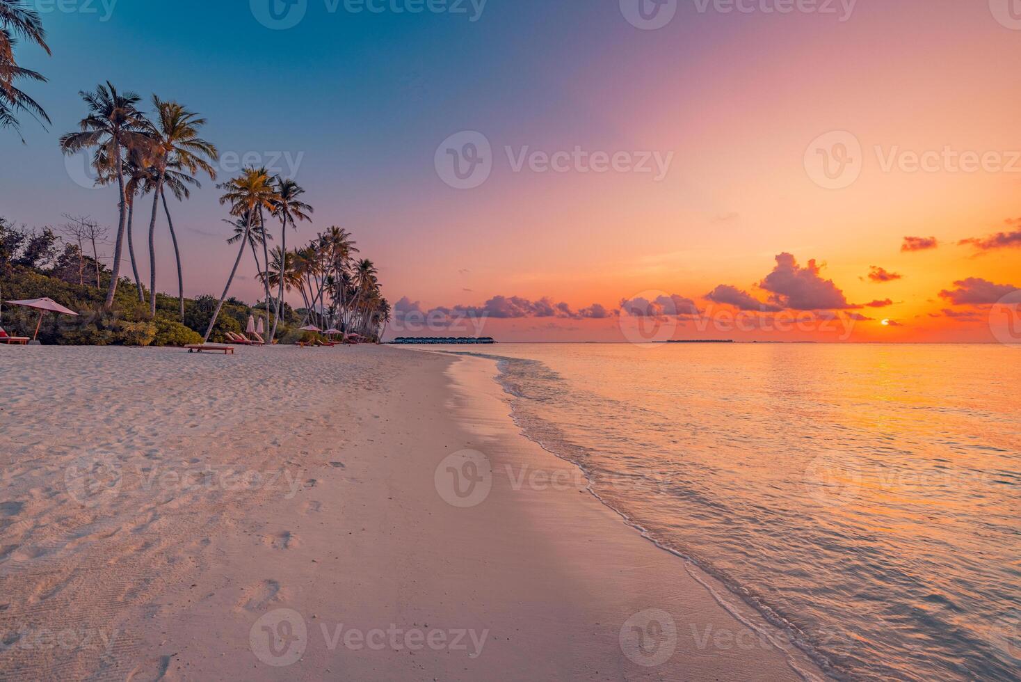 Scenic tropical sunset beach luxury resort palm trees calm colorful sea and sky peaceful perfect summer holiday travel destination exotic paradise vacation getaway retreat photo