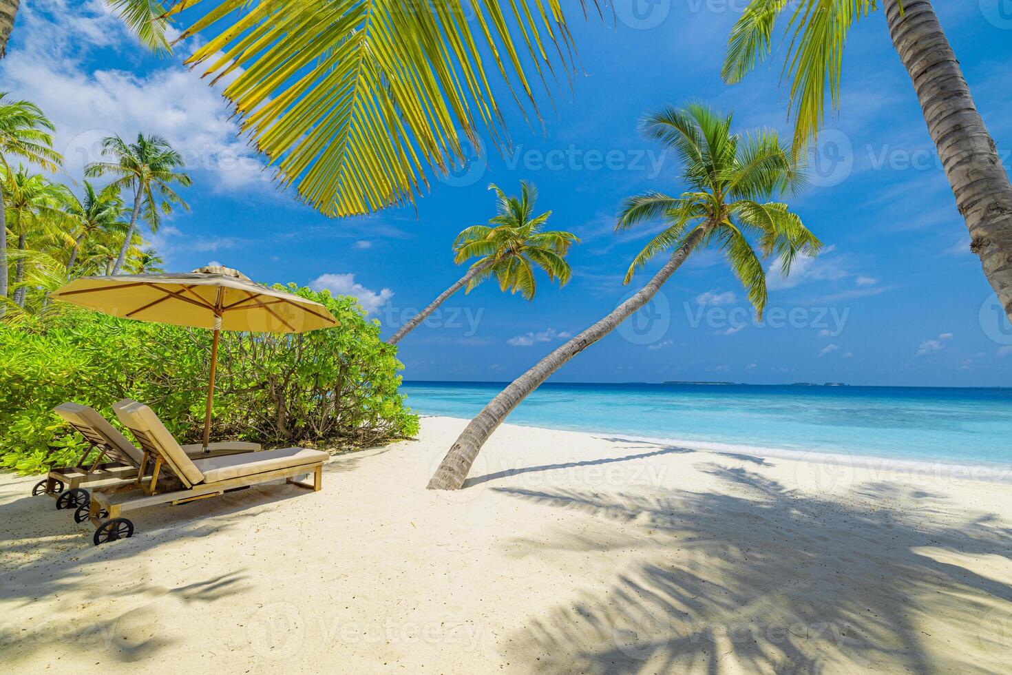 Sunny beach with colorful chairs and umbrellas, swaying palm trees, clear blue sky, gentle sea waves, carefree honeymoon couple enjoying summer love and a romantic getaway sandy shore destination photo