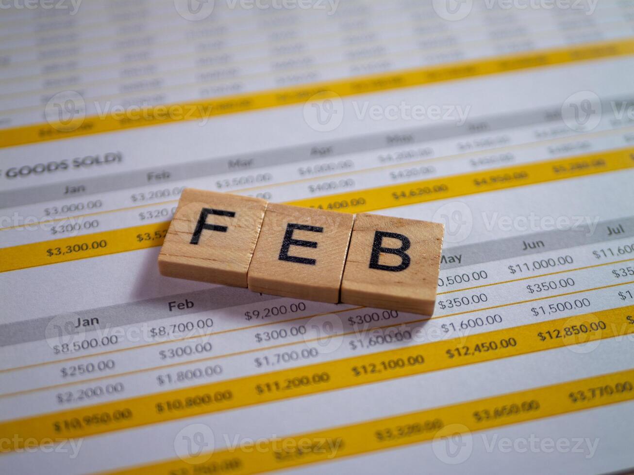 Financial overview for february budget analysis office report professional data insights photo