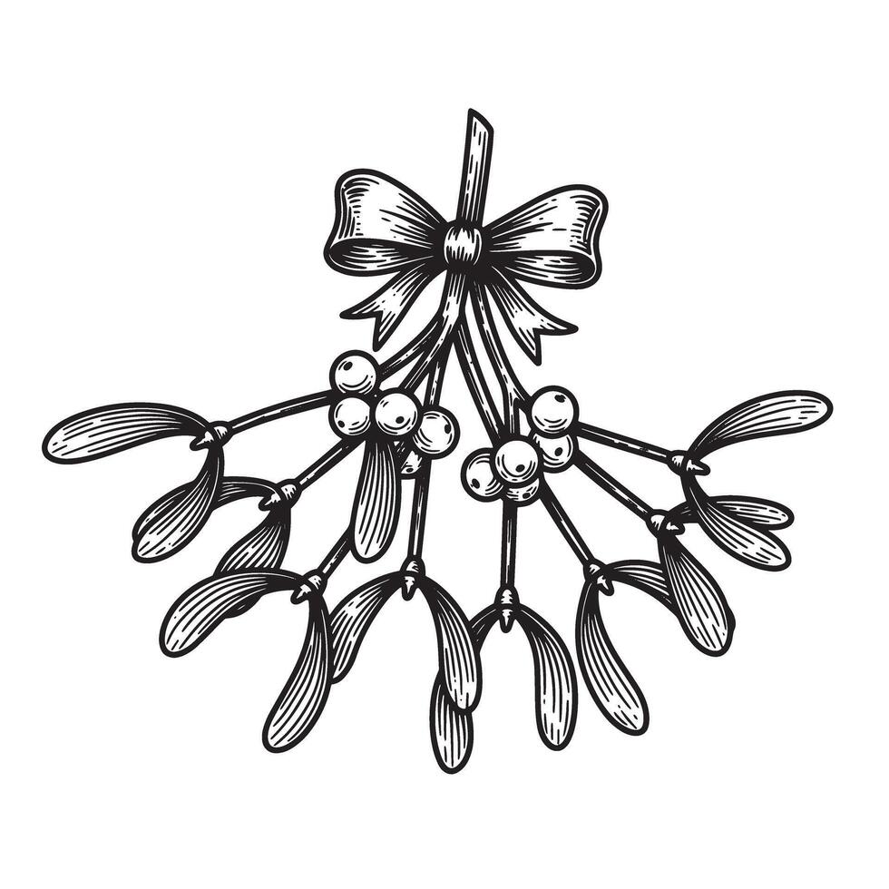Vintage art mistletoe illustration with a festive bow ideal for christmas and holiday designs vector