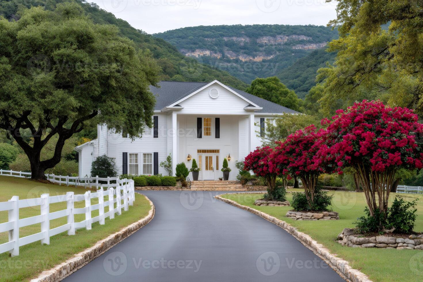 Beautiful white house with blooming crape myrtles and a winding driveway leading to the entrance photo