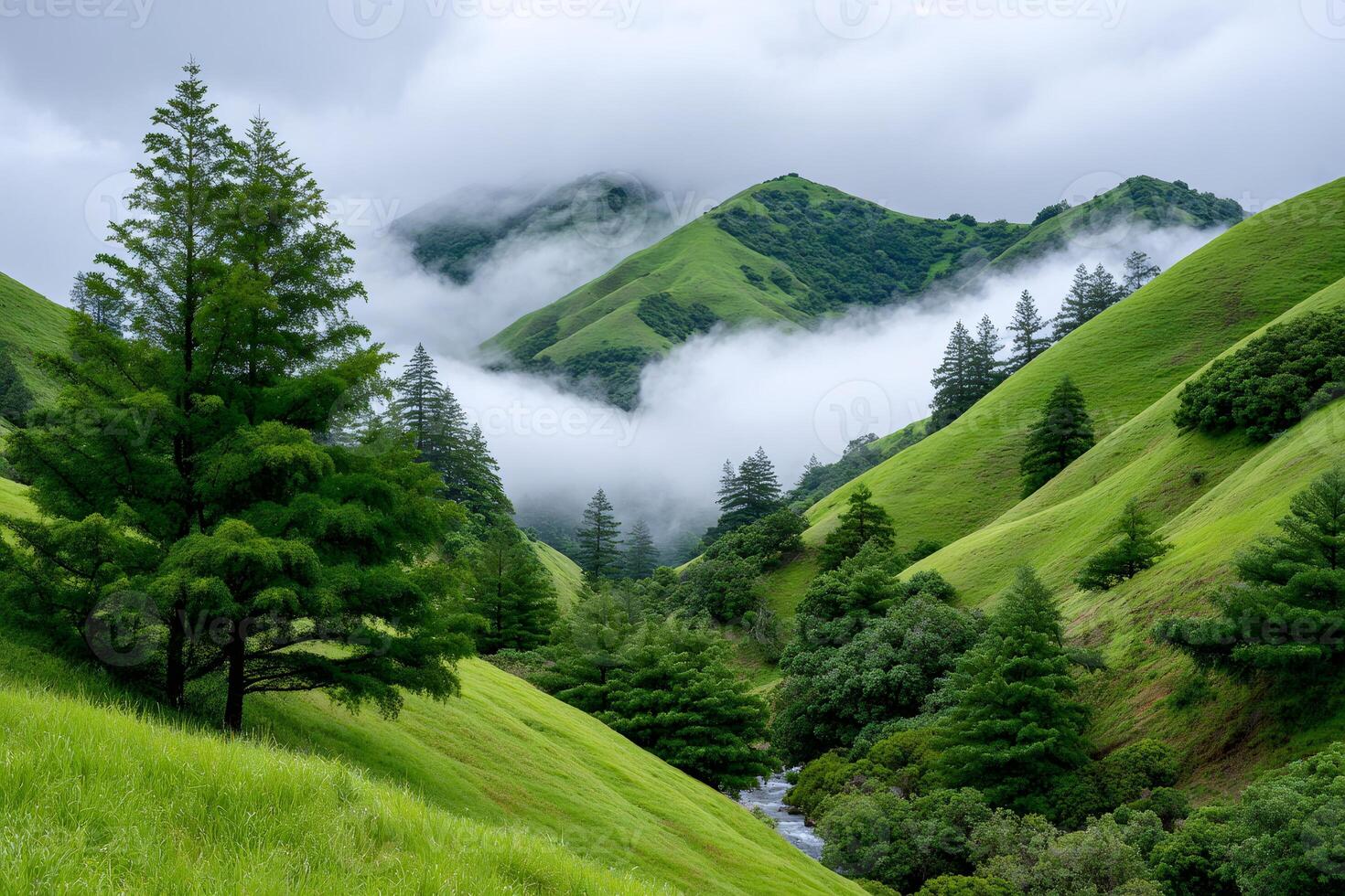 Fog rolling over green hills and trees in springtime photo