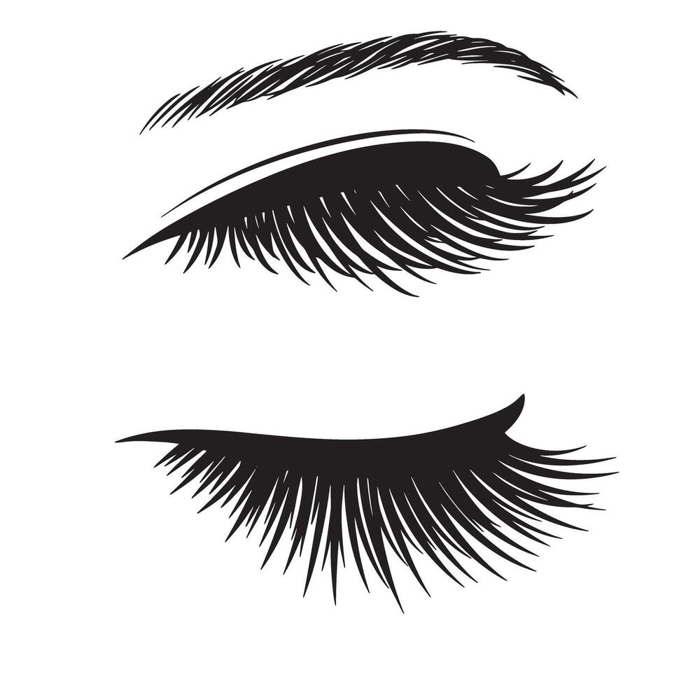 Elegant eyelashes and eyebrow vintage art silhouette illustration on white background vector