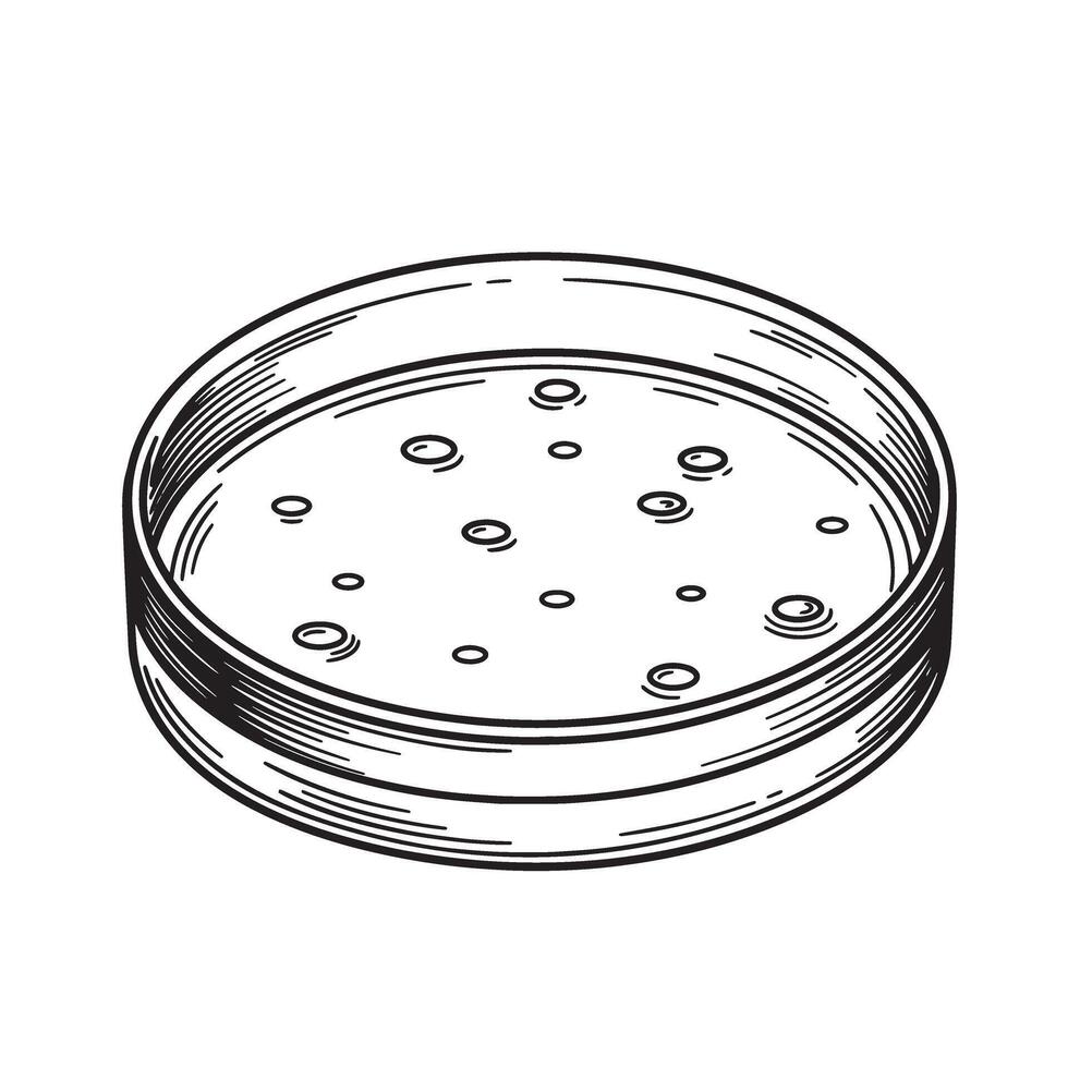 Vintage art illustration of petri dish showing microbial growth for scientific studies vector