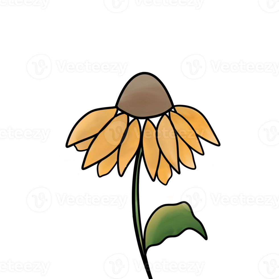 Sun Flower Artwork png