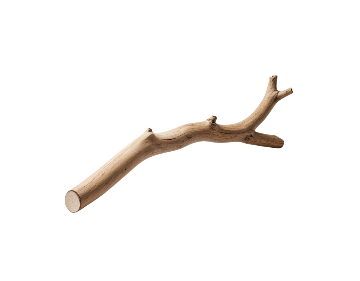 Light Brown Wooden Branch with Knots and Texture Isolated. png