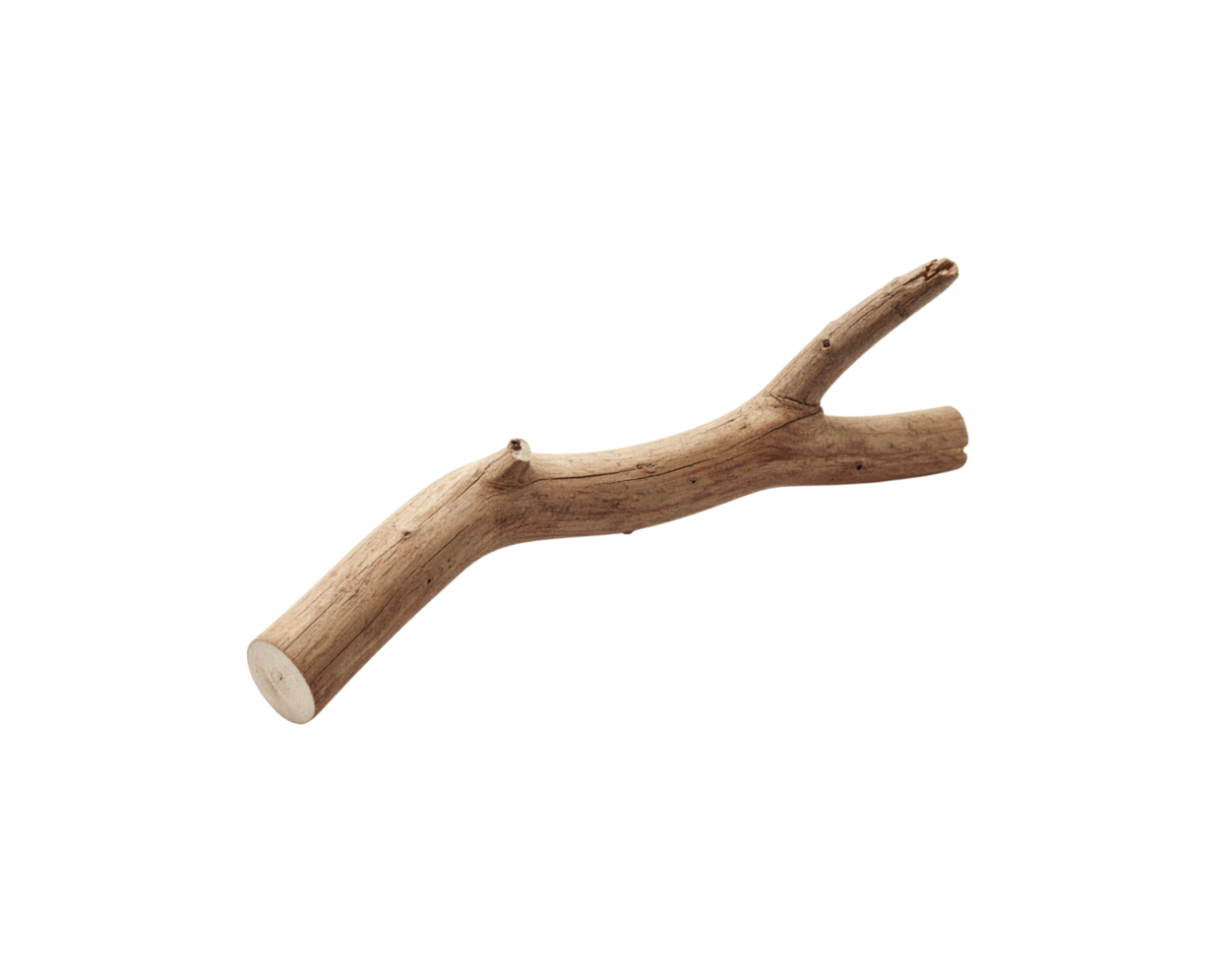 Light Brown Curved Wooden Branch with Knots and Texture. png