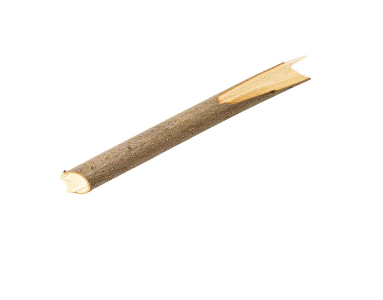 Sharpened GreyBrown Twig with Split End Natural Wood Texture. png