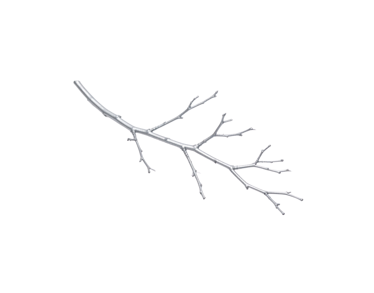 Silverpainted twig with delicate branching pattern showcasing a natural yet stylized form. png